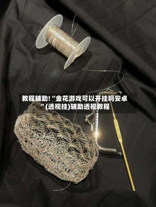 教程辅助!“金花游戏可以开挂吗安卓		”(透视挂)辅助透视教程-第2张图片