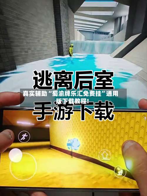 真实辅助“蜀渝牌乐汇免费挂”通用版下载教程!-第2张图片