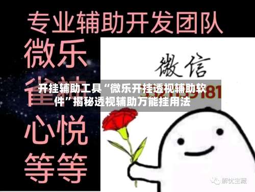 开挂辅助工具“微乐开挂透视辅助软件”揭秘透视辅助万能挂用法-第2张图片