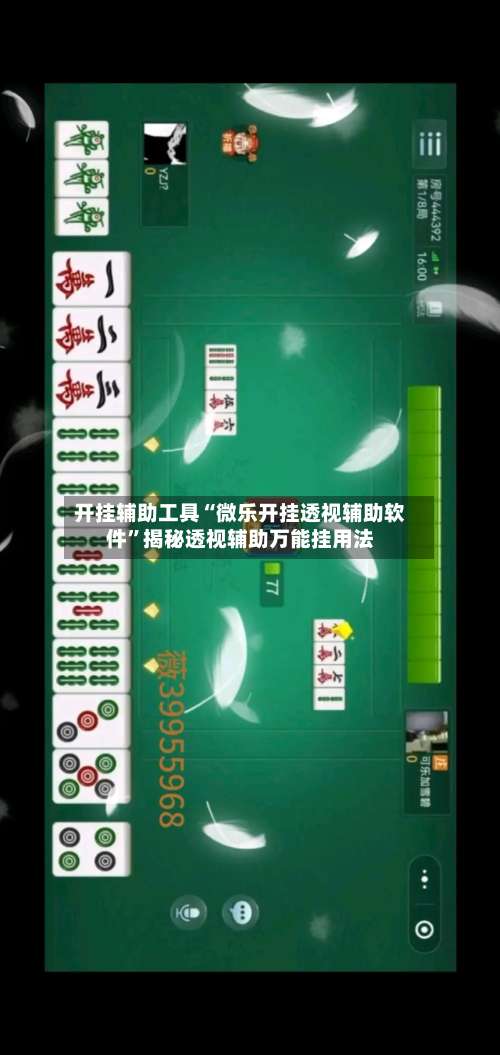 开挂辅助工具“微乐开挂透视辅助软件”揭秘透视辅助万能挂用法-第3张图片