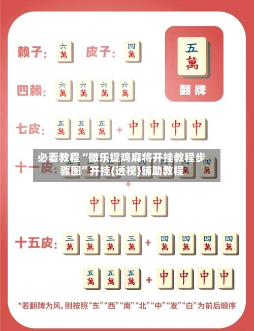 必看教程“微乐捉鸡麻将开挂教程步骤图”开挂(透视)辅助教程-第1张图片