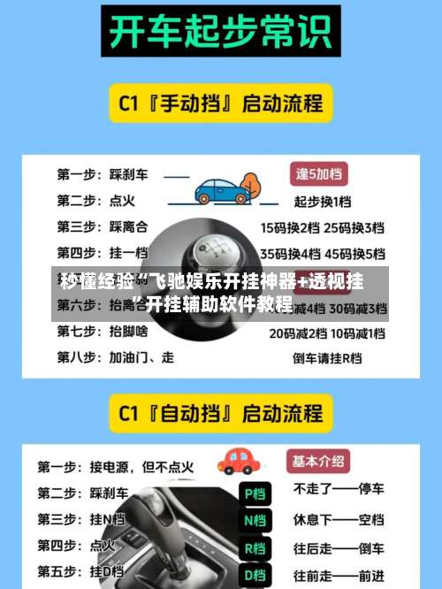 秒懂经验“飞驰娱乐开挂神器+透视挂”开挂辅助软件教程-第3张图片