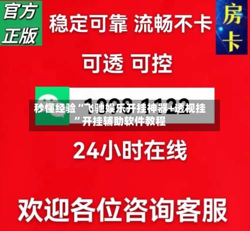 秒懂经验“飞驰娱乐开挂神器+透视挂”开挂辅助软件教程-第2张图片