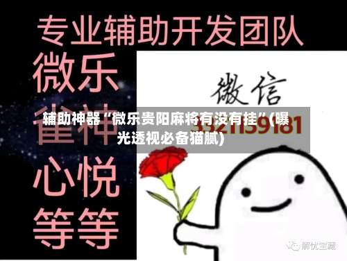辅助神器“微乐贵阳麻将有没有挂	”(曝光透视必备猫腻)-第1张图片