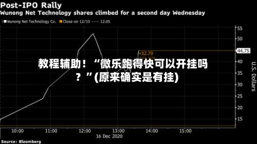 教程辅助！“微乐跑得快可以开挂吗？”(原来确实是有挂)-第2张图片