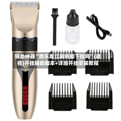 辅助神器“微乐龙江麻将能下挂吗”(透视)开挂辅助脚本+详细开挂安装教程-第3张图片