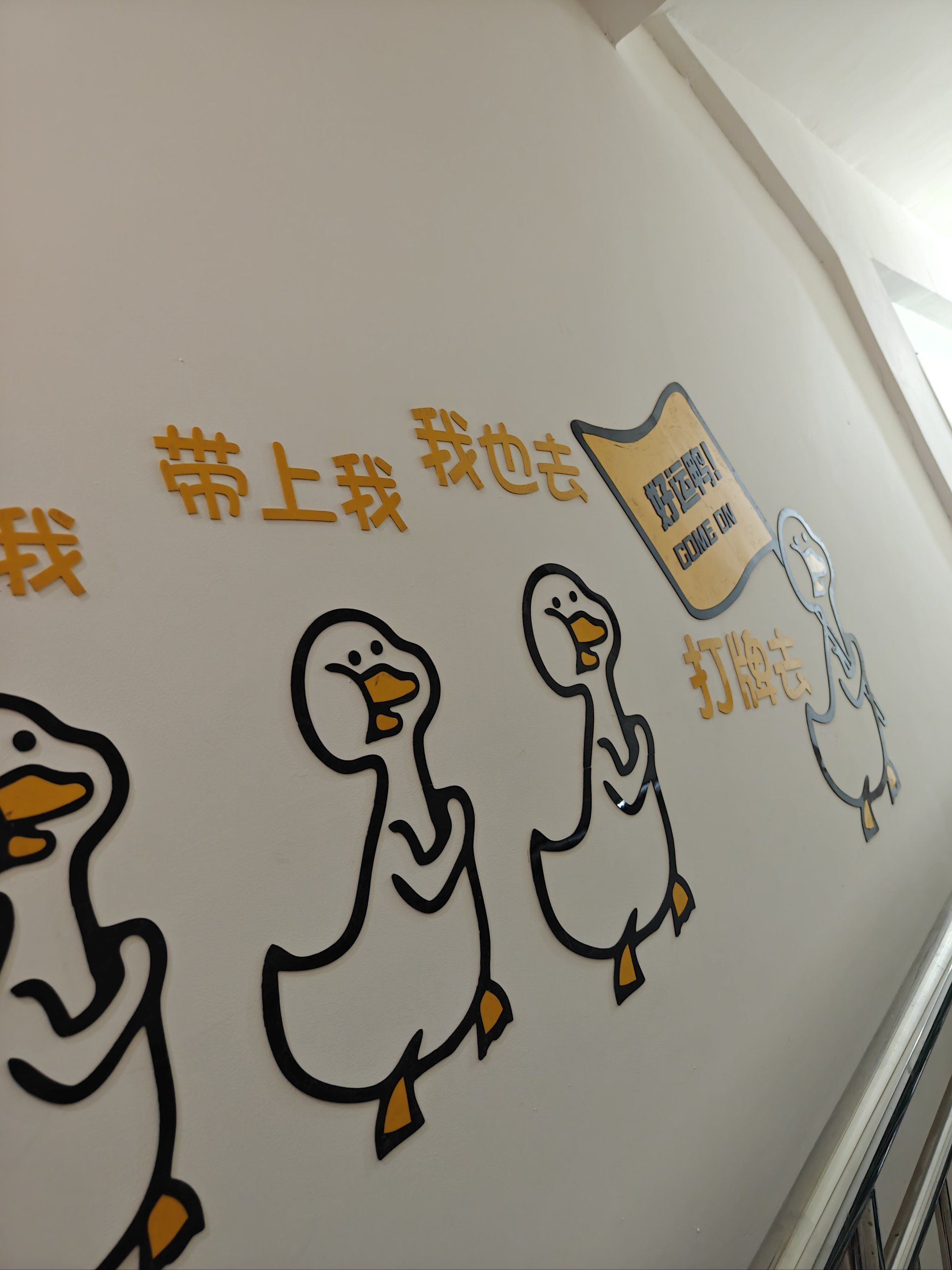 给大家科普一下“情怀麻将真有挂贴吧”(真的有挂)-第1张图片