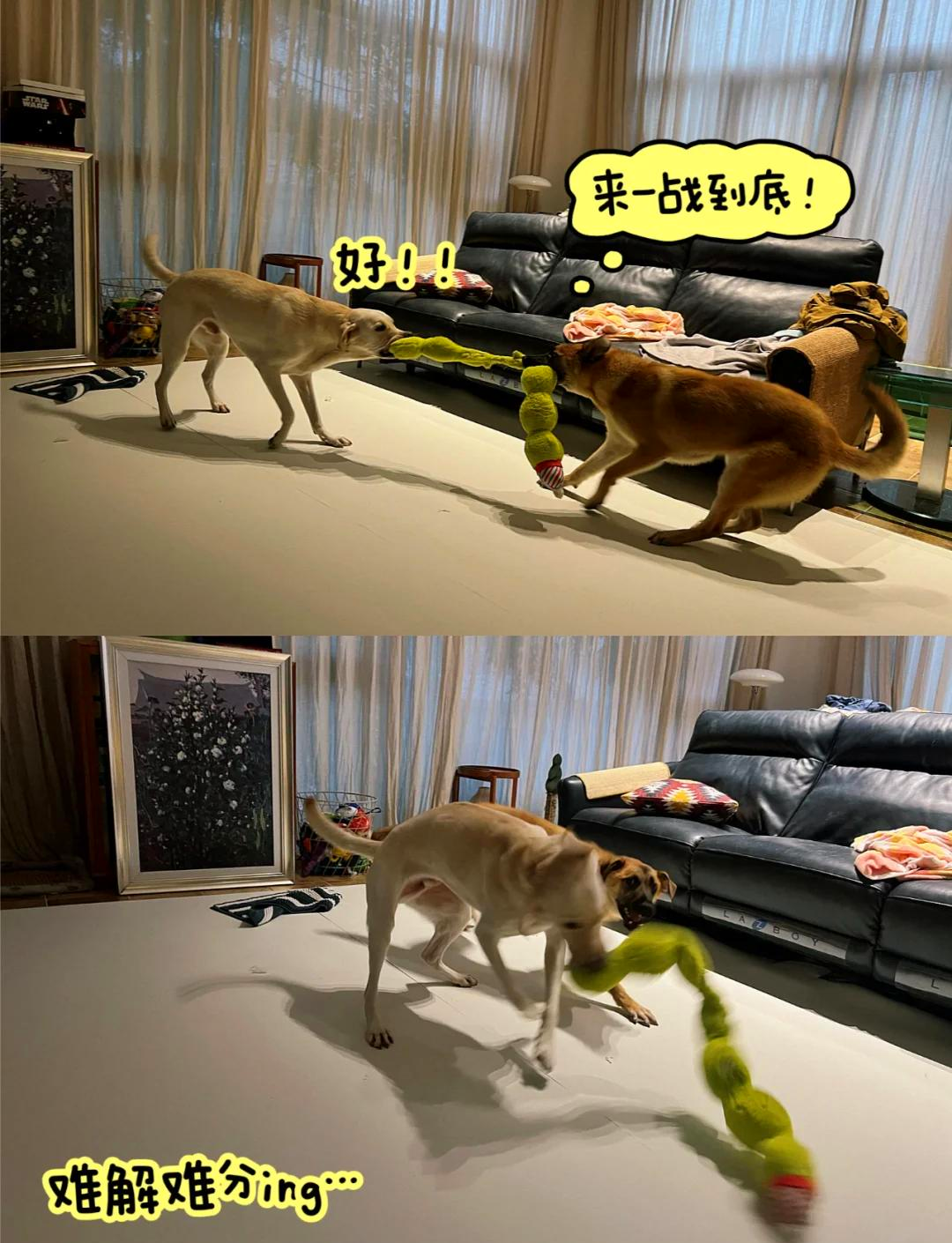 终于找到“兴动麻将规律”的确是有挂-第1张图片