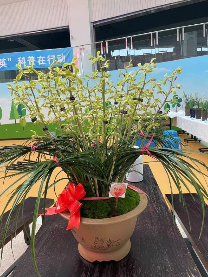 给大家科普一下“元来黄冈麻将开挂链接	”原来确实有挂-第3张图片