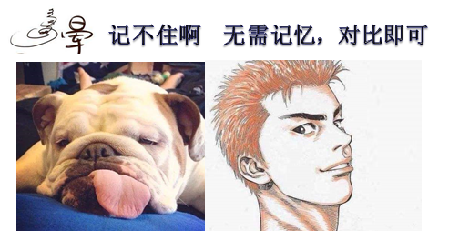 玩家攻略宝典“德州翻前胜率”(原来真的有挂)-第1张图片