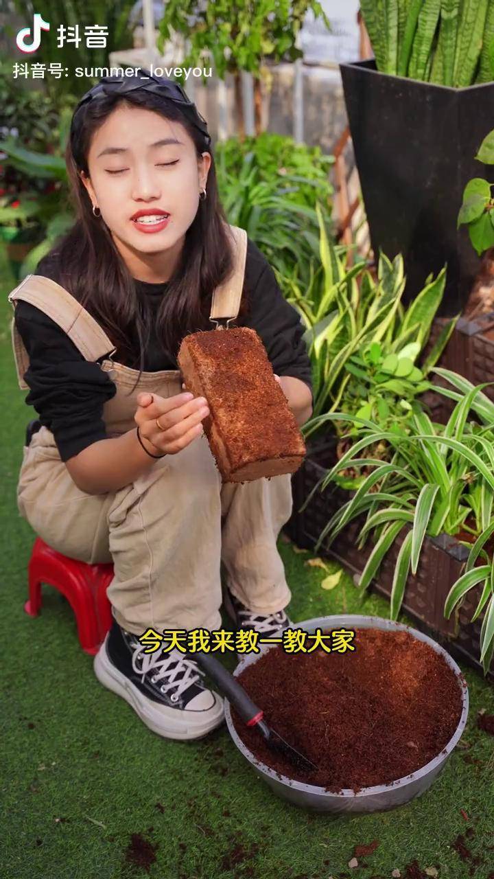 我来教教大家“wpk辅助工具下载”附开挂脚本详细步-第2张图片