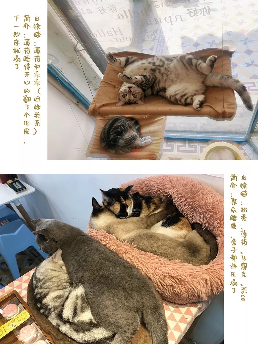 分享干货“德扑之星开挂工具下载	”(确实有挂)-第1张图片