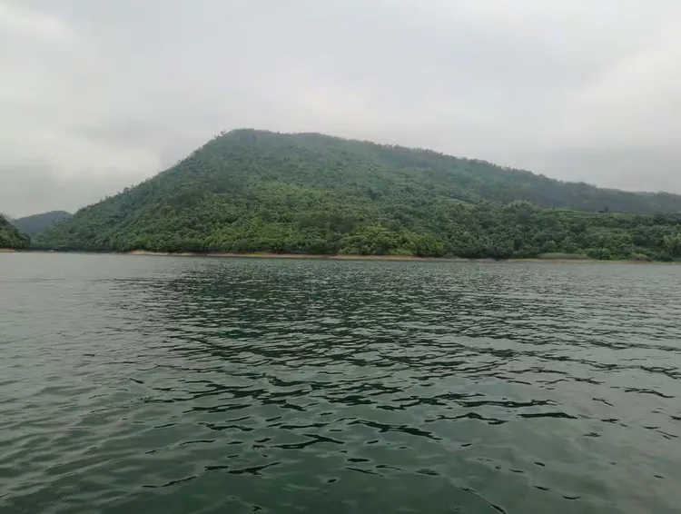 今日实测“黄山麻将开挂神器免费下载	”爆光开挂猫腻-第2张图片