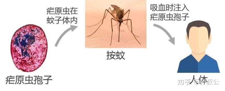 分享科普“wepoker好友房发牌规律”了解开挂过程-第1张图片