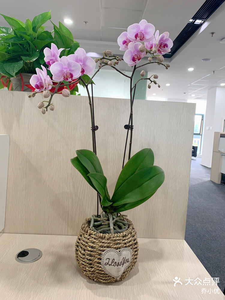 玩家点评“花花生活圈麻将挂”分享装挂步骤-第3张图片