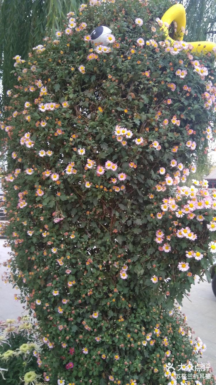 玩家点评“花花生活圈麻将挂”分享装挂步骤-第2张图片