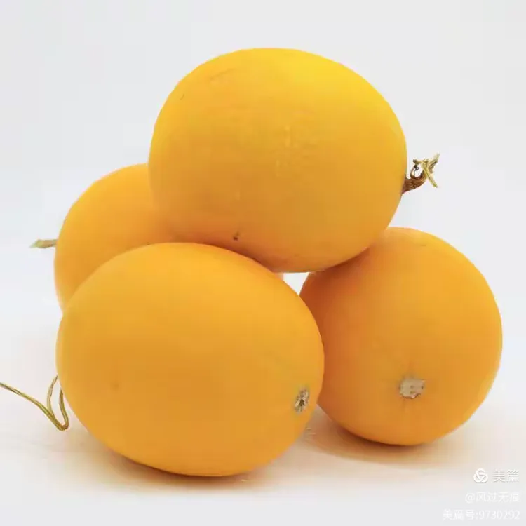 终于呈现“蜜瓜大厅有挂吗”分享装挂详-第1张图片