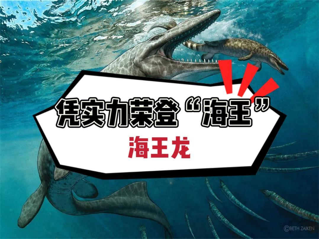 揭秘科普“新青鸟大厅万能开挂器”分享用挂教程-第2张图片