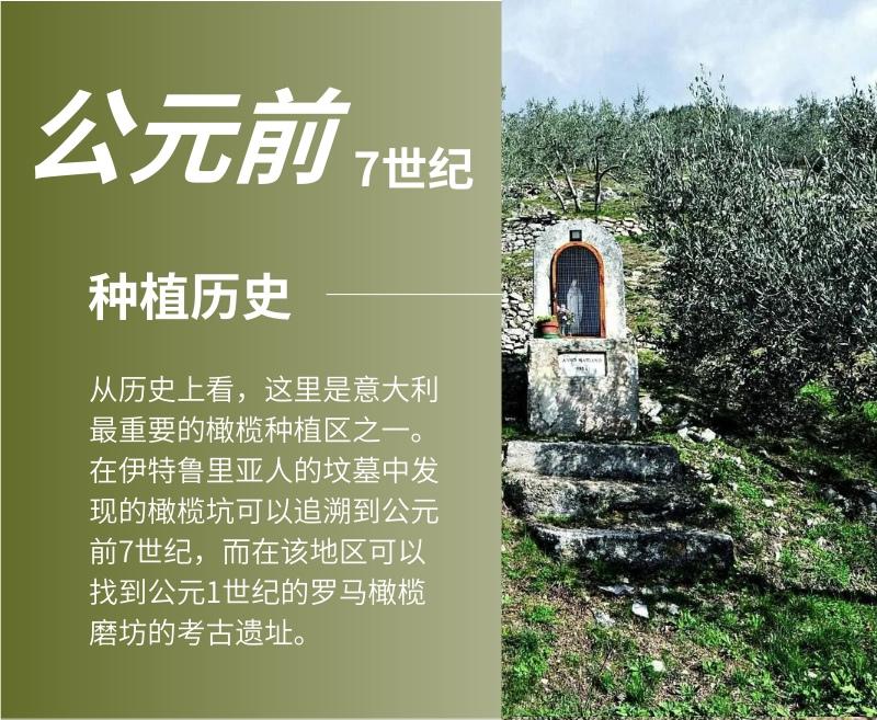 揭秘科普“新青鸟大厅万能开挂器	”分享用挂教程-第1张图片