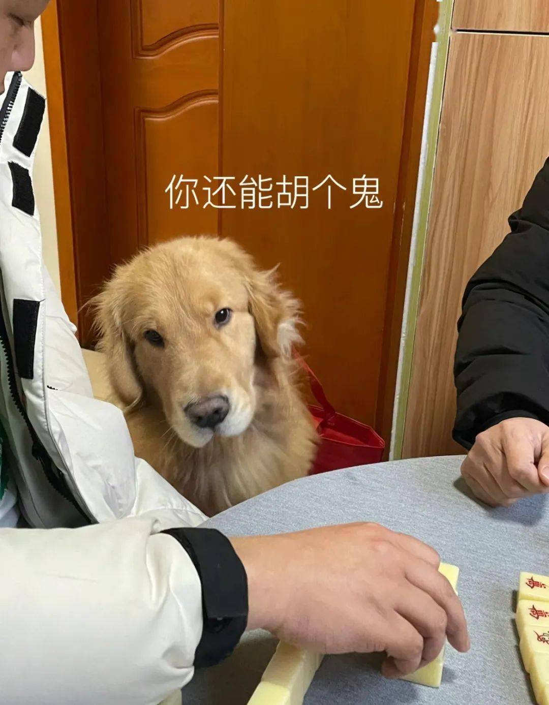 分享干货“打手机麻将一直输怎么办	”的确有挂-第2张图片