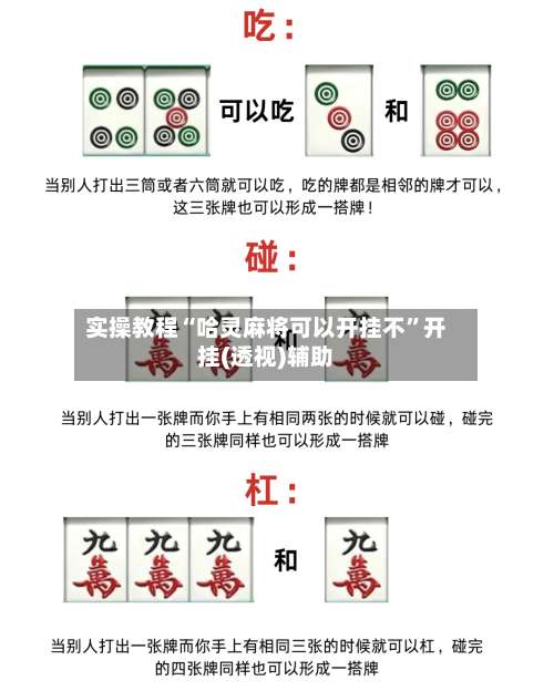 实操教程“哈灵麻将可以开挂不	”开挂(透视)辅助-第1张图片