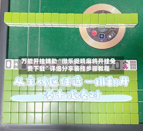 万能开挂辅助“微乐捉鸡麻将开挂免费下载”详细分享装挂步骤教程-第1张图片