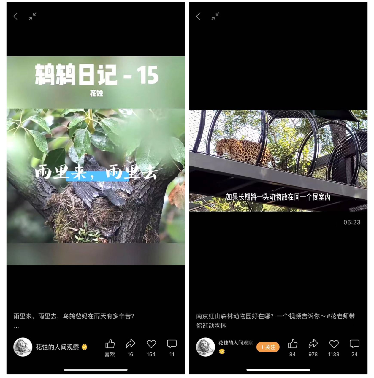 分享科普“微信皇后超级三加一辅助		”确实真的有挂-第2张图片