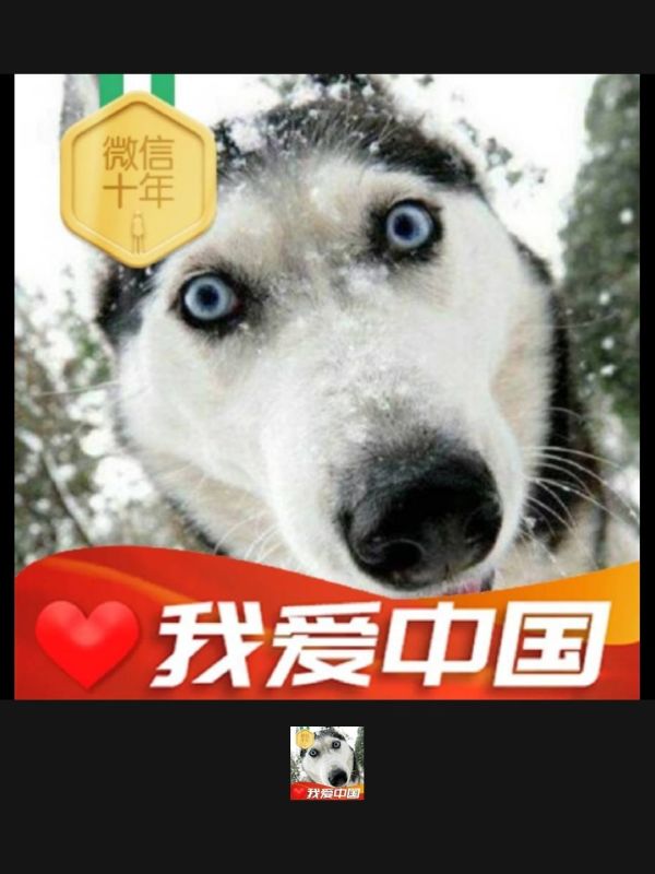 盘点一款“微信跑得快可以开挂吗”详细分享开挂-第1张图片