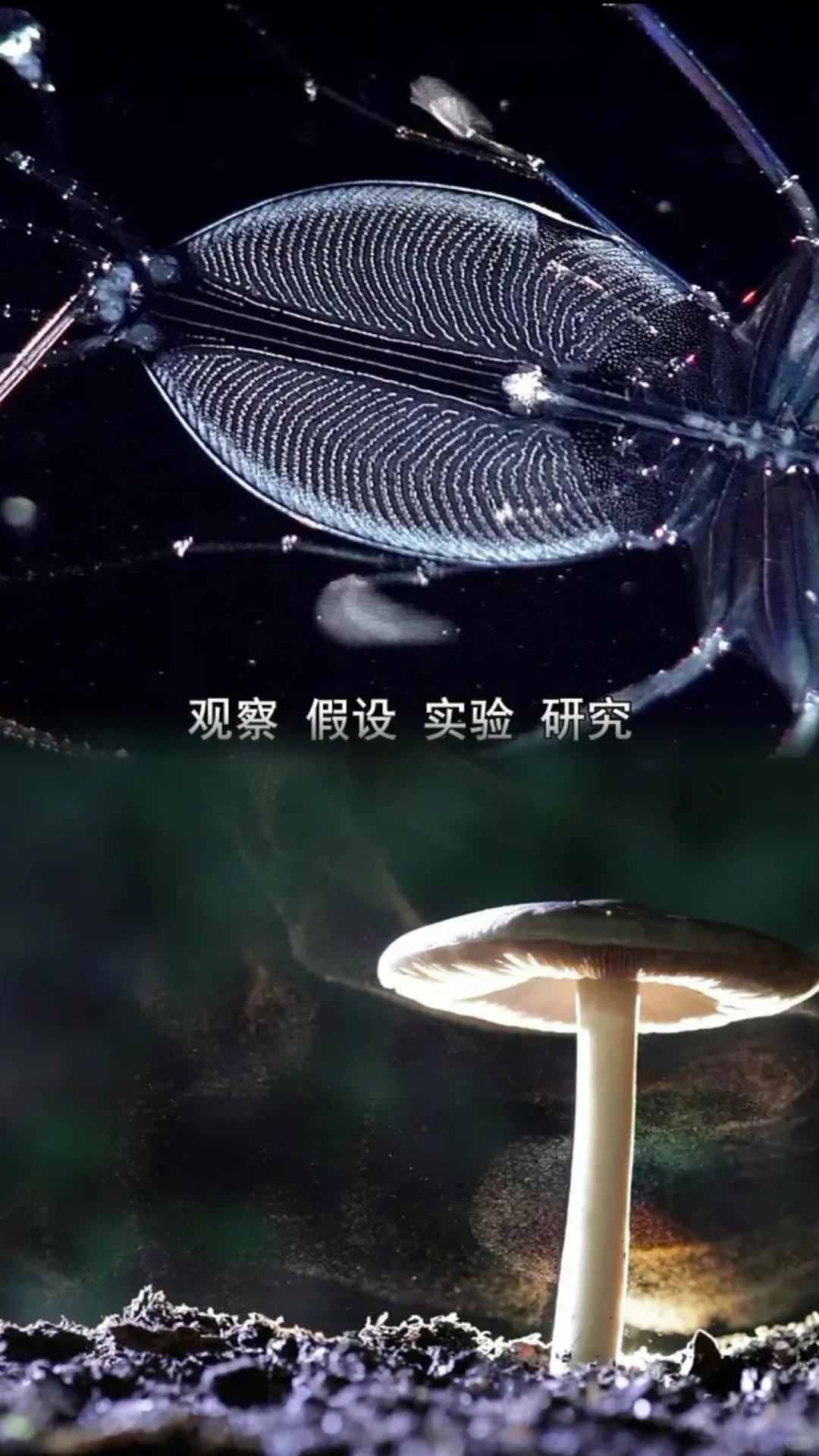 给大家科普一下“德扑圈辅助器”确实果然有挂-第1张图片