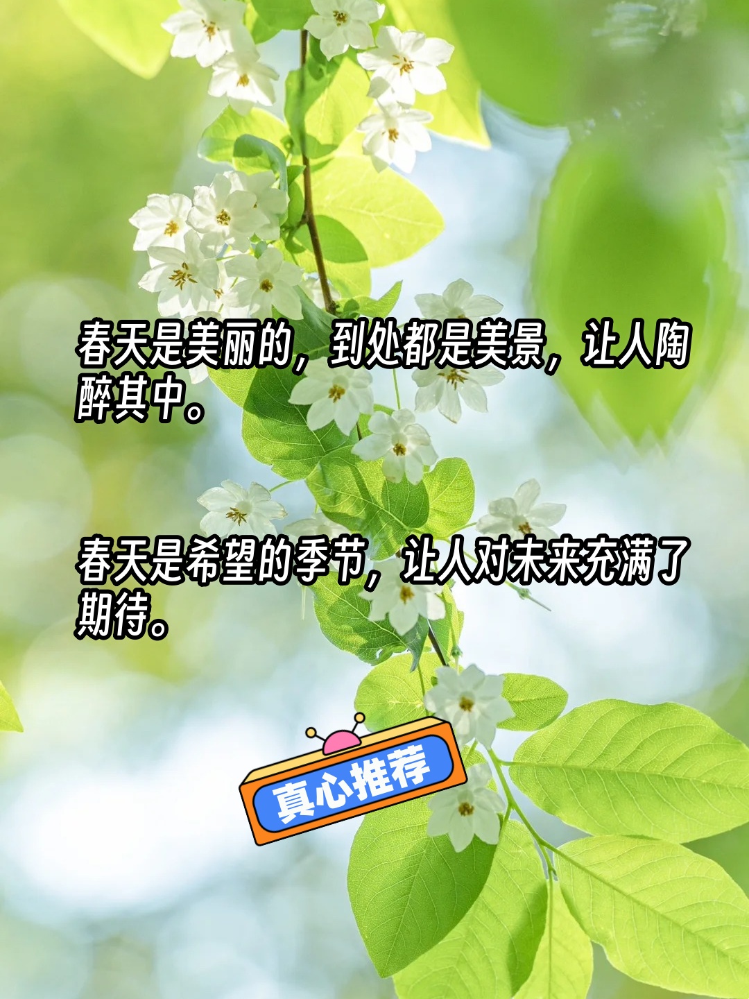 我来告诉你“阳光岛牌乐汇辅助器	”详细分享开挂-第3张图片