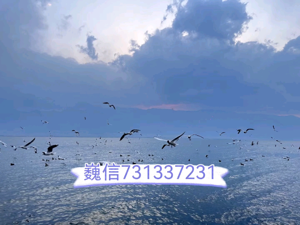 玩家必读“德扑之星有透视挂吗”分享装挂详细步-第2张图片