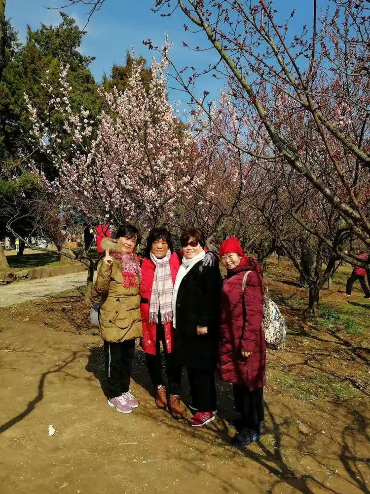 分析必看“哈局十三张开挂神器玩法介绍	”详细分享装挂步骤-第1张图片
