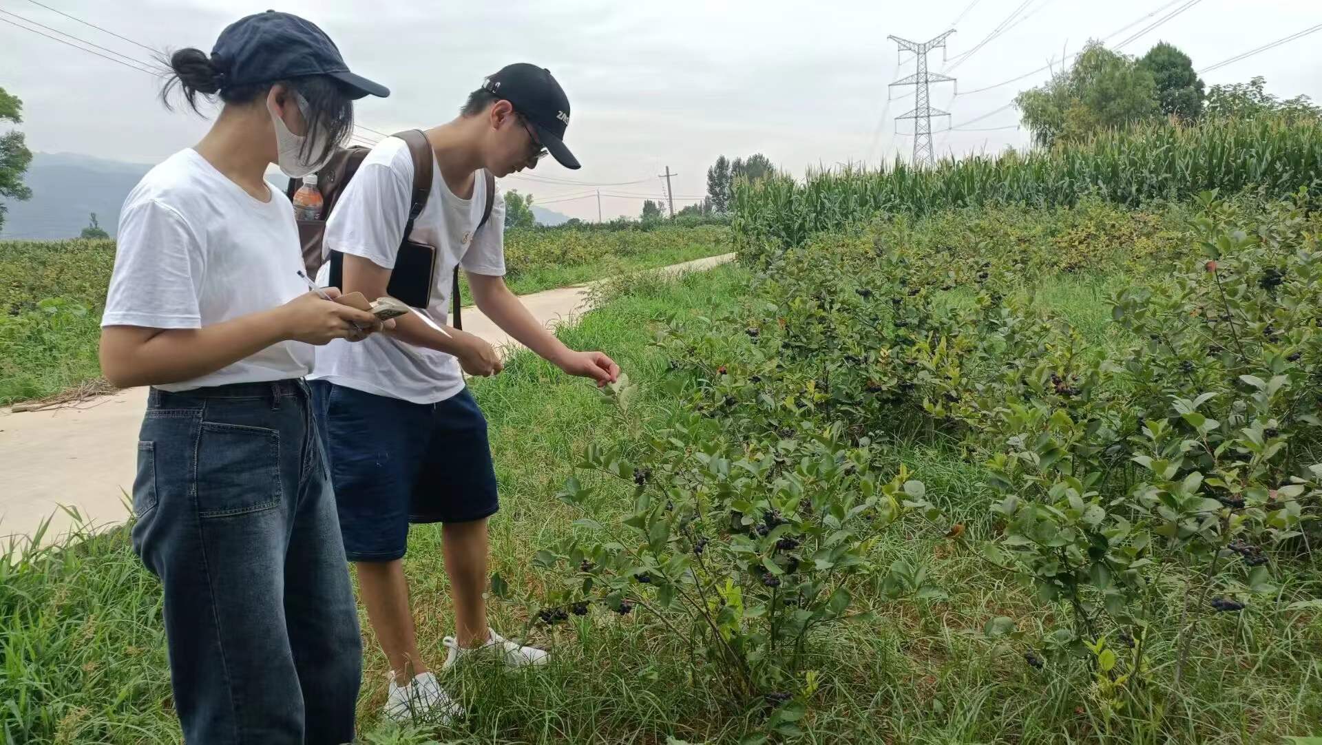重大发现“微乐陕西三代怎么拿一手好牌”(其实真的能开挂)-第3张图片