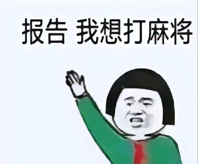 分享热点“玩手机麻将总输怎么回事”分享装挂详细步骤-第1张图片