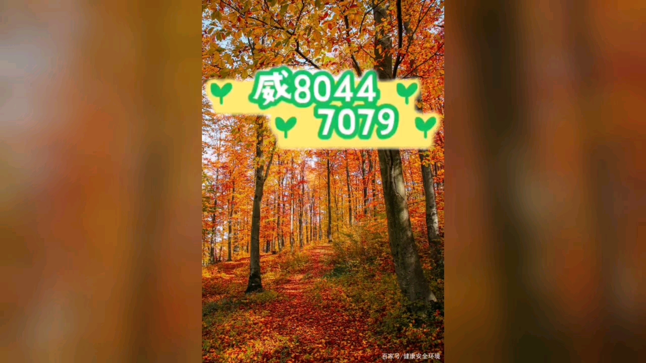 传递经验“小程序雀神广东麻将开挂方法下载	”万能开挂器通用版-第1张图片