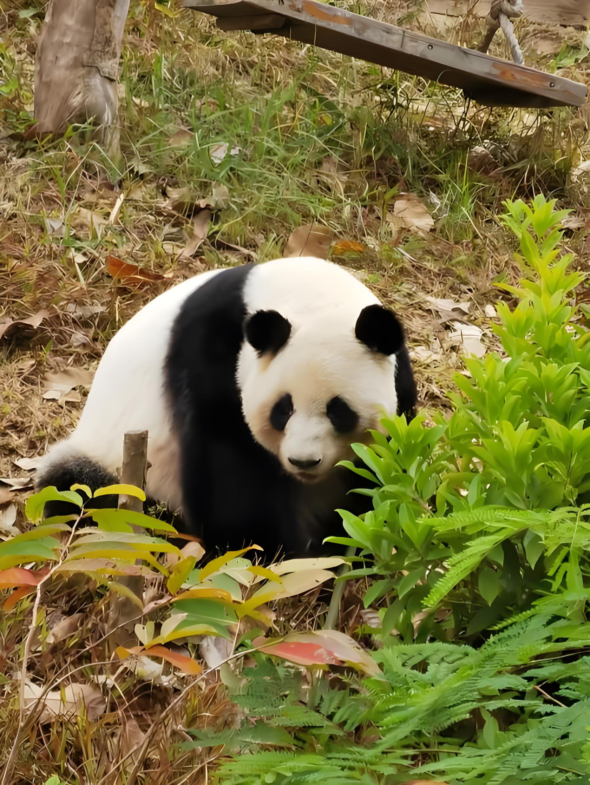 推荐必备“南宁麻将万能开挂器怎么用	”助赢开挂器（安装教程）-第2张图片