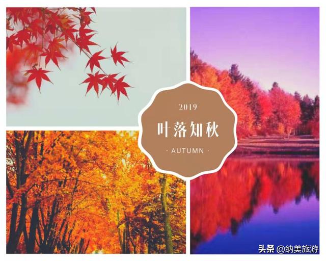今日盘点“小甘麻将万能开挂器通用版	”外卦神器下载安装-第1张图片