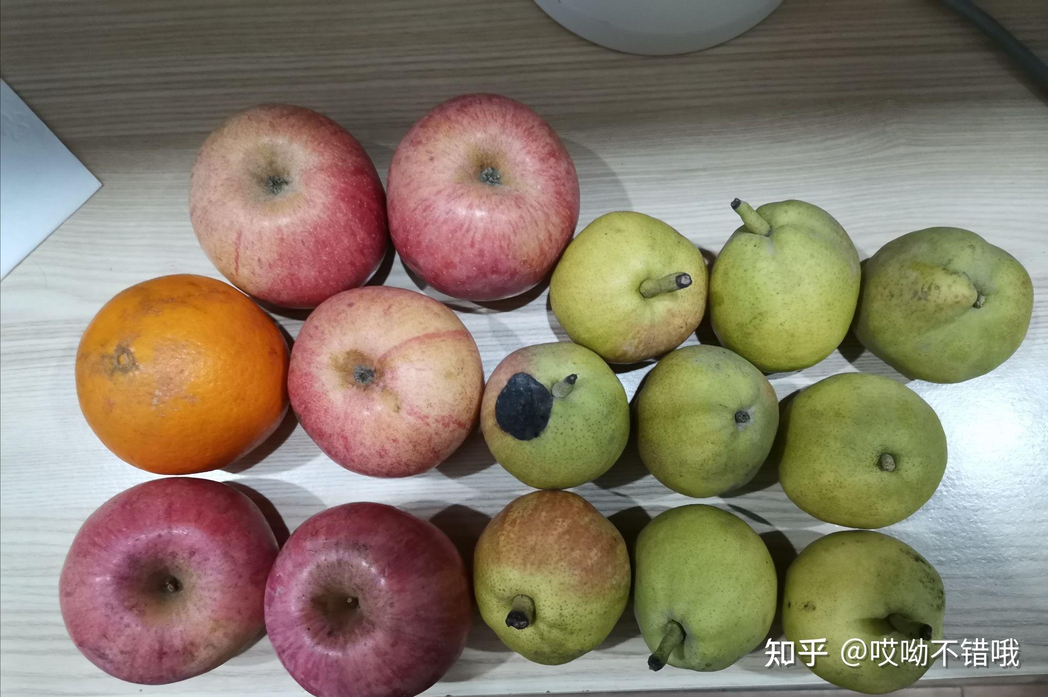 为何上海新增无症状比确诊多45倍?︰(上海 新增无症状)-第1张图片