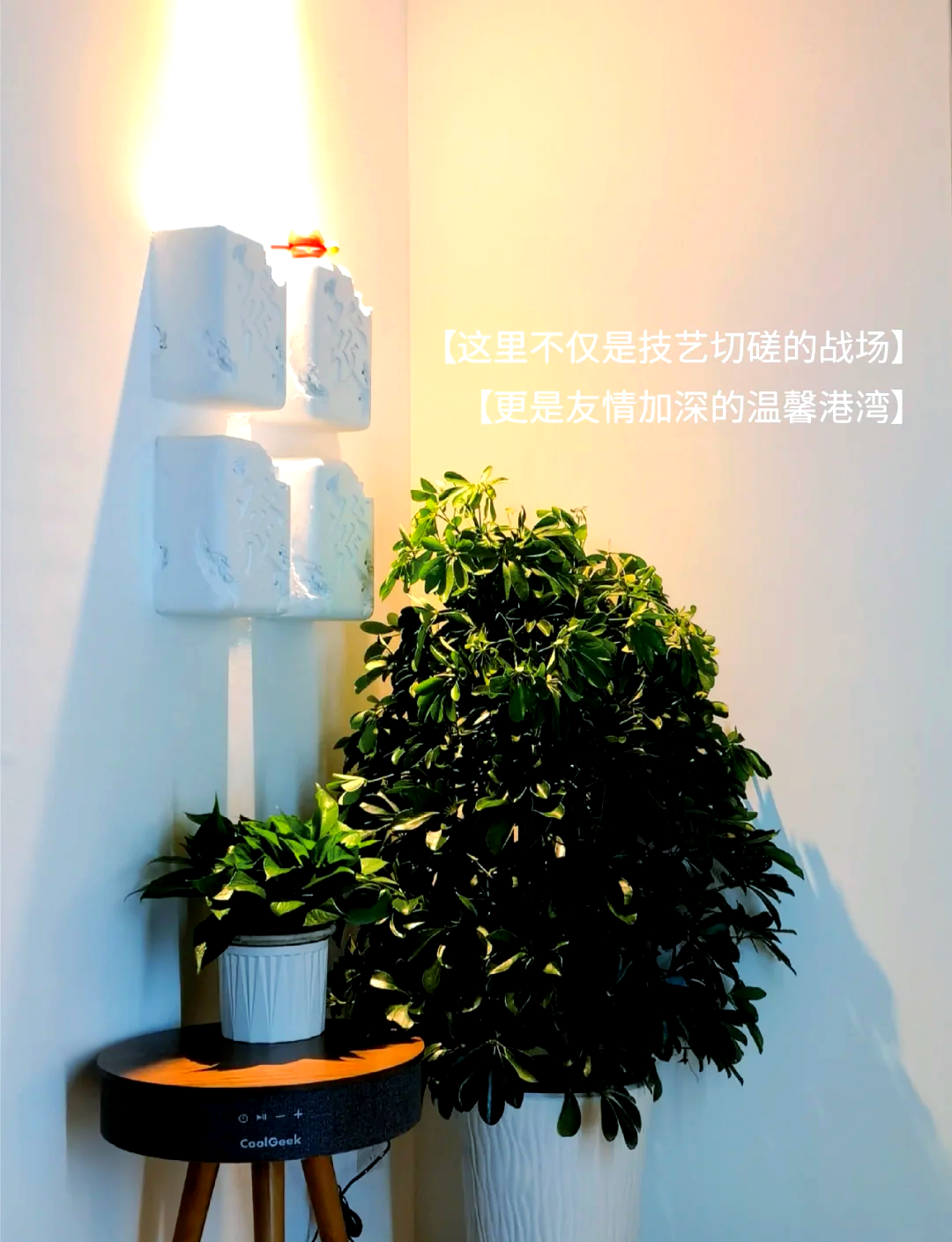 今日教程“海南微乐麻将开挂方法视频”开挂通用版（必备神器）-第3张图片
