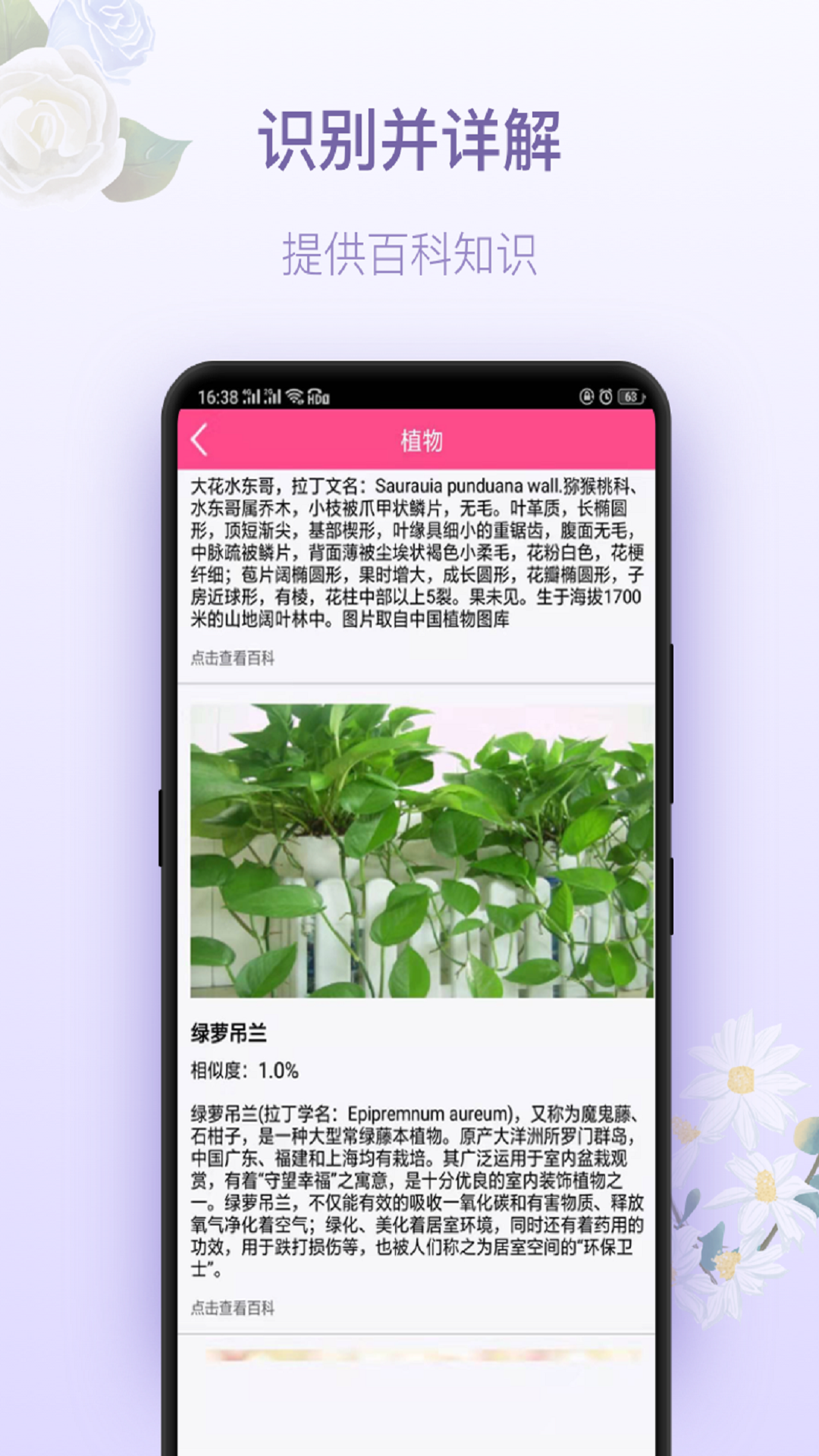 实测教程“小程序决胜麻将必胜神器软件”开挂器软件安装-第1张图片