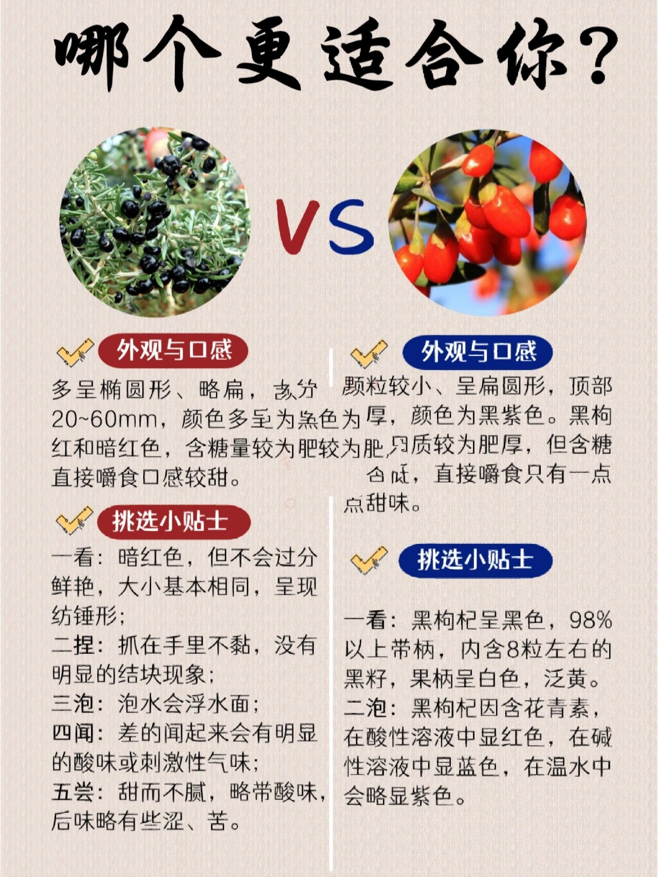 科普实测“科乐填大坑辅助透视”开挂通用版（必备神器）-第2张图片