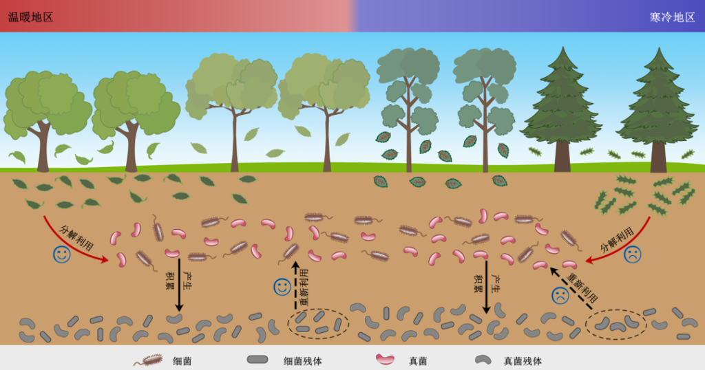 科普实测“微扑克免费开挂下载安装	”开挂器软件安装-第1张图片