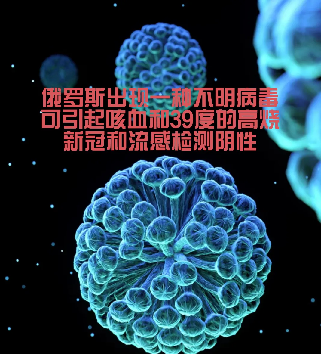 第二波新冠.第二波新冠疫情-第3张图片