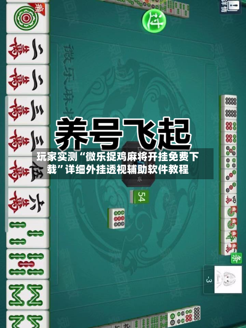 玩家必读“微乐上海麻将挂在那里可以买到”开挂神器安装下载-第1张图片