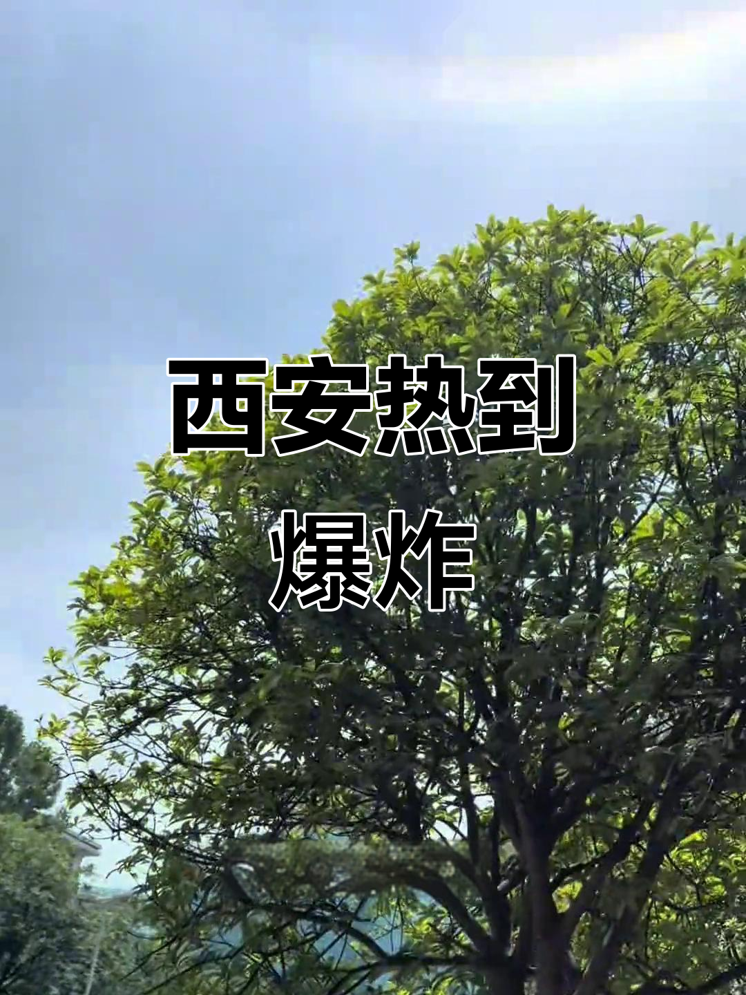 「西安疫情的最新动态」〃西安疫情的最新动态消息-第1张图片