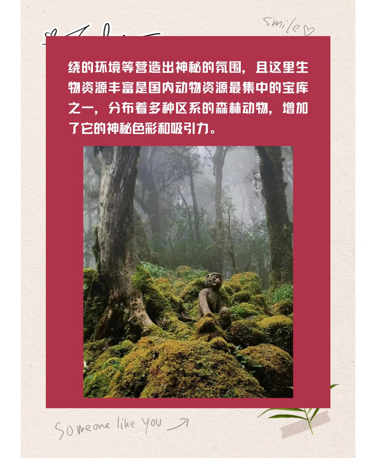 云南新增15例本土确诊︰(云南新增确诊15例详情)-第2张图片