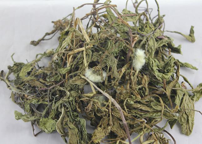 科普实测“蒲花大菠萝可以开挂吗	”万能开挂神器（真的有挂）-第1张图片
