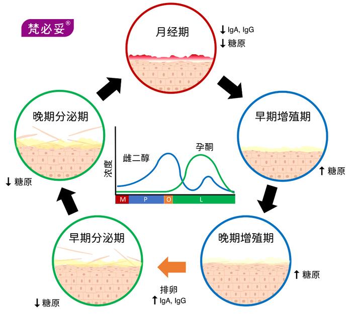 科普实测“微扑克绝对有挂”开挂器软件安装-第3张图片