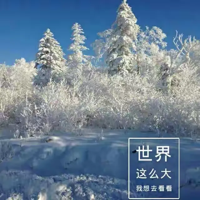 玩家必读“本溪麻将开挂方法下载”外卦神器下载安装-第1张图片