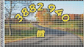 分享一款“旺旺福建麻将挂怎么安装”万能开挂器通用版-第1张图片